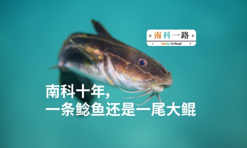 散茶和饼茶的区别在哪里-【散茶和饼茶的区别在哪里】散茶和茶饼哪个档次高 - 散茶和饼茶的区别网